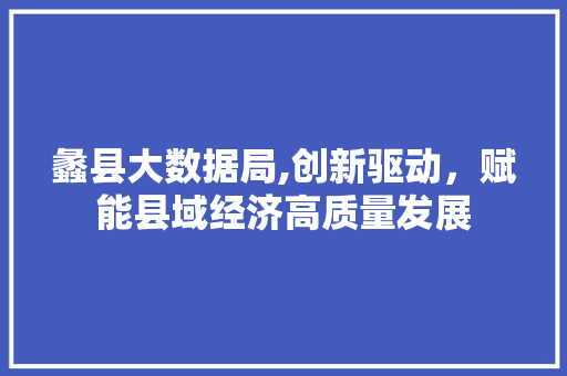 蠡县大数据局,创新驱动，赋能县域经济高质量发展