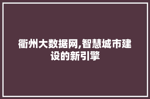 衢州大数据网,智慧城市建设的新引擎