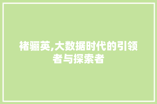 褚骊英,大数据时代的引领者与探索者