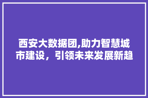 西安大数据团,助力智慧城市建设，引领未来发展新趋势