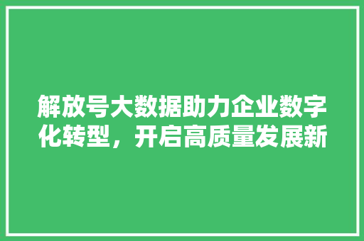 解放号大数据助力企业数字化转型，开启高质量发展新篇章