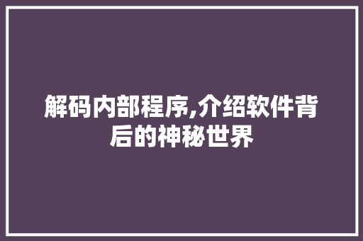 解码内部程序,介绍软件背后的神秘世界