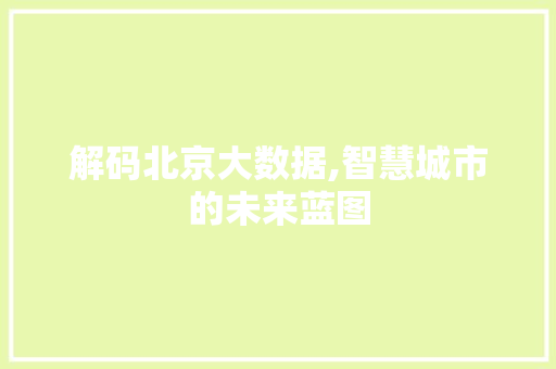 解码北京大数据,智慧城市的未来蓝图