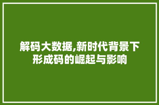 解码大数据,新时代背景下形成码的崛起与影响