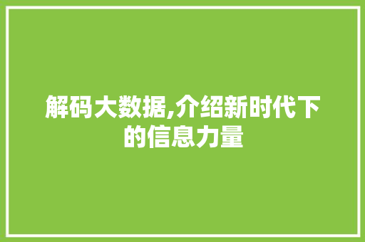 解码大数据,介绍新时代下的信息力量