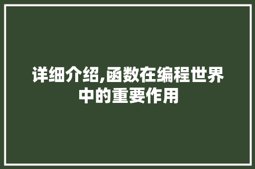 详细介绍,函数在编程世界中的重要作用