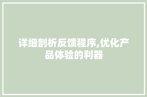 详细剖析反馈程序,优化产品体验的利器