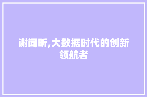 谢闻昕,大数据时代的创新领航者