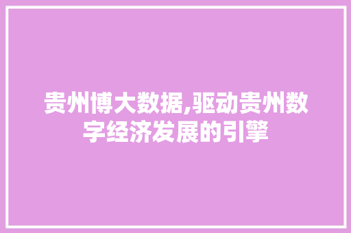 贵州博大数据,驱动贵州数字经济发展的引擎