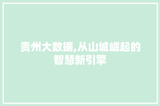 贵州大数据,从山城崛起的智慧新引擎