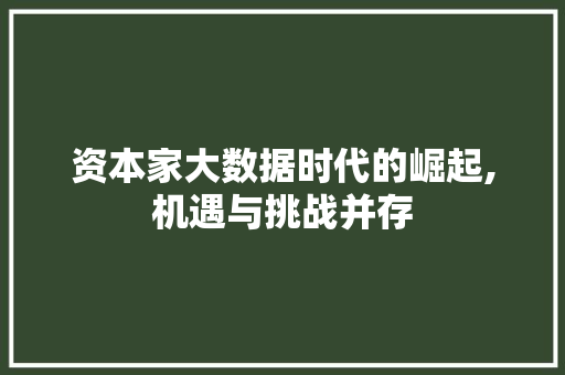 资本家大数据时代的崛起,机遇与挑战并存