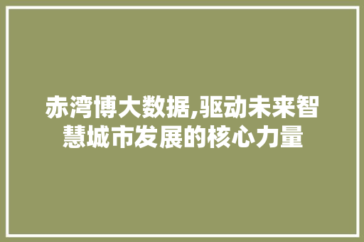 赤湾博大数据,驱动未来智慧城市发展的核心力量