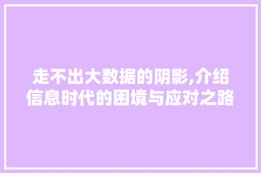 走不出大数据的阴影,介绍信息时代的困境与应对之路