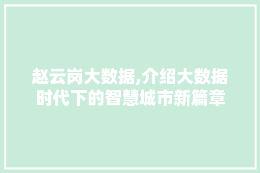 赵云岗大数据,介绍大数据时代下的智慧城市新篇章