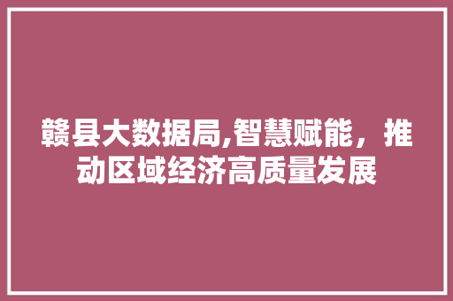 赣县大数据局,智慧赋能，推动区域经济高质量发展