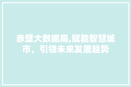 赤壁大数据局,赋能智慧城市，引领未来发展趋势