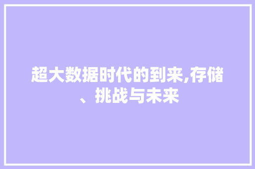 超大数据时代的到来,存储、挑战与未来 搜狗SEO