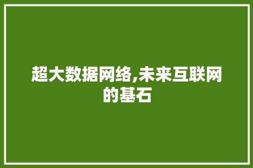 超大数据网络,未来互联网的基石 百度SEO