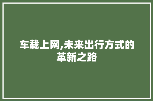 车载上网,未来出行方式的革新之路