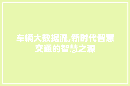 车辆大数据流,新时代智慧交通的智慧之源
