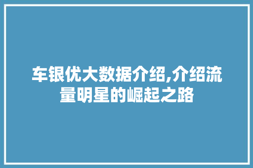 车银优大数据介绍,介绍流量明星的崛起之路