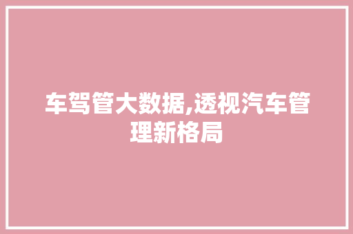 车驾管大数据,透视汽车管理新格局