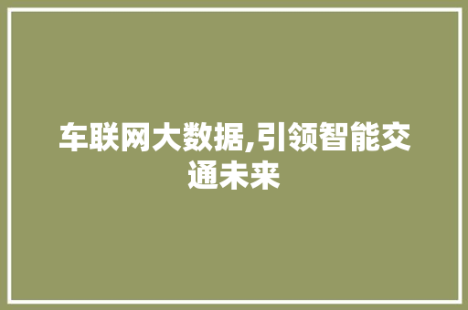 车联网大数据,引领智能交通未来