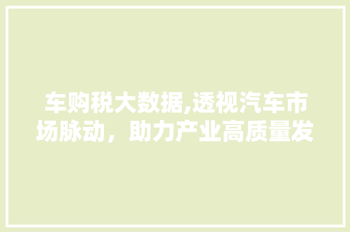 车购税大数据,透视汽车市场脉动，助力产业高质量发展