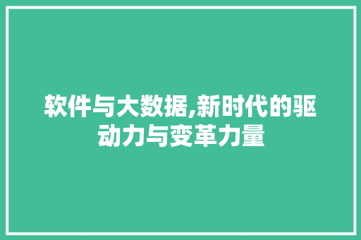 软件与大数据,新时代的驱动力与变革力量