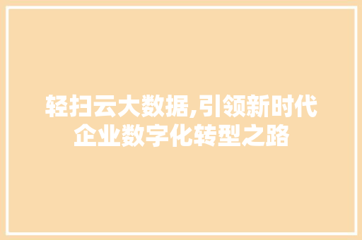 轻扫云大数据,引领新时代企业数字化转型之路