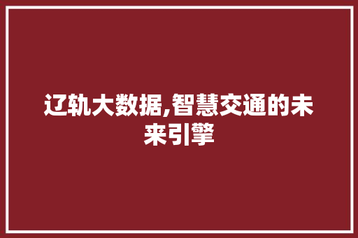 辽轨大数据,智慧交通的未来引擎