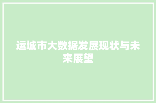 运城市大数据发展现状与未来展望