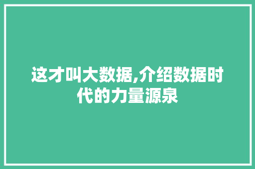 这才叫大数据,介绍数据时代的力量源泉