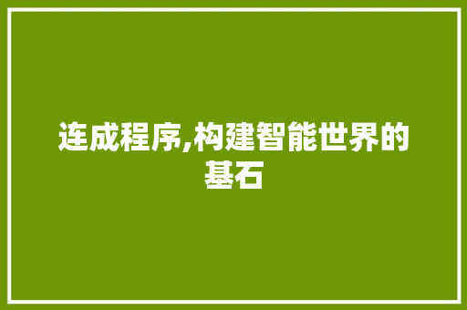 连成程序,构建智能世界的基石