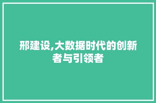邢建设,大数据时代的创新者与引领者