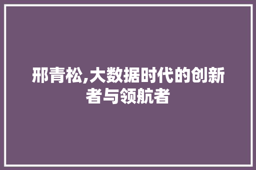 邢青松,大数据时代的创新者与领航者