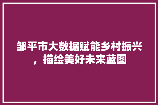 邹平市大数据赋能乡村振兴，描绘美好未来蓝图 神马SEO
