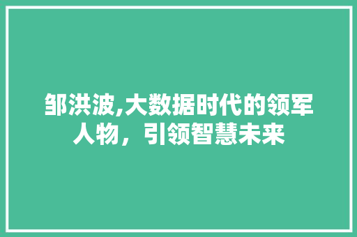 邹洪波,大数据时代的领军人物，引领智慧未来 搜狗SEO