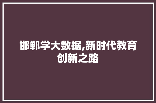 邯郸学大数据,新时代教育创新之路 网站建设公司