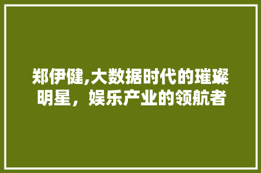 郑伊健,大数据时代的璀璨明星，娱乐产业的领航者 网站建设公司