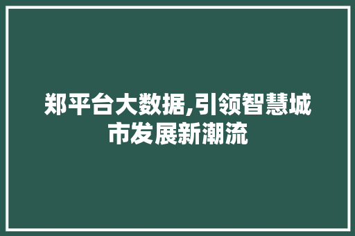 郑平台大数据,引领智慧城市发展新潮流