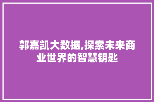 郭嘉凯大数据,探索未来商业世界的智慧钥匙