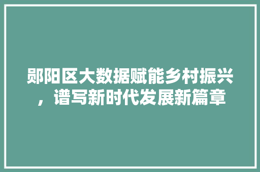 郧阳区大数据赋能乡村振兴，谱写新时代发展新篇章