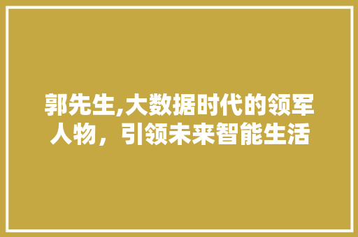 郭先生,大数据时代的领军人物，引领未来智能生活
