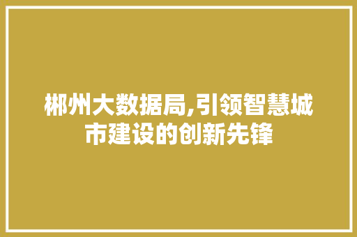 郴州大数据局,引领智慧城市建设的创新先锋