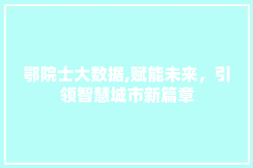 鄂院士大数据,赋能未来，引领智慧城市新篇章