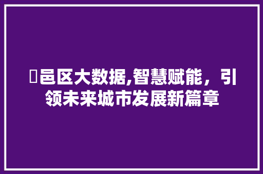 鄠邑区大数据,智慧赋能，引领未来城市发展新篇章