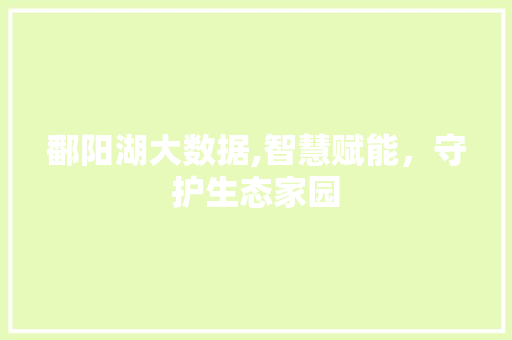 鄱阳湖大数据,智慧赋能，守护生态家园