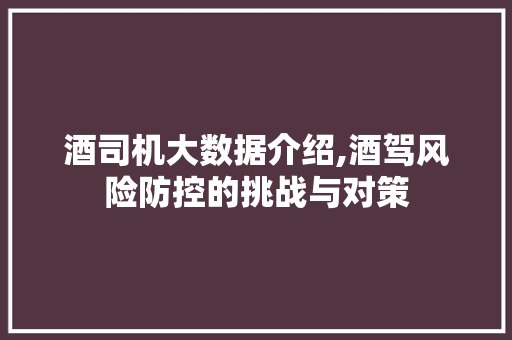 酒司机大数据介绍,酒驾风险防控的挑战与对策