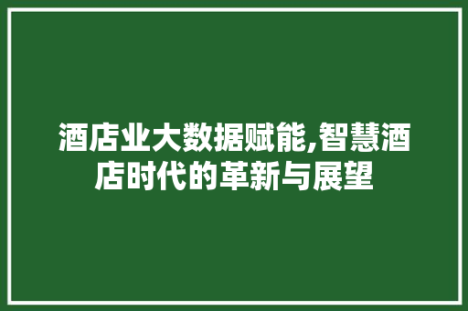 酒店业大数据赋能,智慧酒店时代的革新与展望